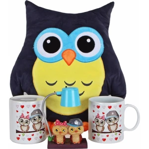 Baykuş Tasarımlı Yastık Best Friends Işıklı Biblo Baykuş Kupa Kumbara Arkadaşa Hediye Seti