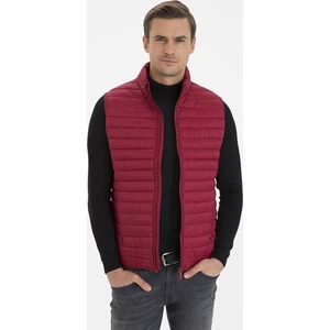 Pierre Cardin Erkek Bordo Yelek 50230453-VR014