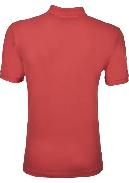 Erkek Polo Yaka Tişört Y0TYO2694 fiyatları