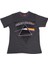 Pink Floyd Dark Side Of The Moon Tişört Gri 1