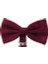 Antrasit Erkek Slim Fit Yelek Ve Bordo Papyon 2