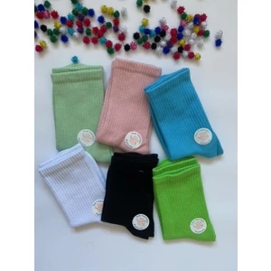 Çorap Dünyam 6'li  Renkli Düz Neşeli Kolej Tenis Çorap WW5122