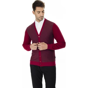 Slim Fit V Yaka Hırka Erkek Hırka 456405