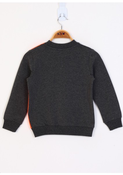 Erkek Çocuk Garnili Sweatshirt fiyatları