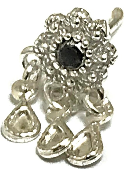 Gümüş Hızma (Kod 2020638)