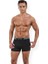 330 Stretch Boxer 2