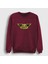 Unisex Bordo Yellow Aerosmith Sweatshirt 1
