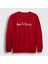 Unisex Kırmızı Alice In Chains Sweatshirt 1