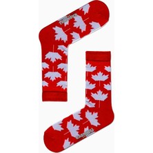 Carnaval Socks Kanada Bayrak Desenli Renkli Çorap