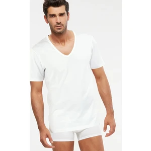 Erkek Penye V-Yaka T-Shirt Enrico Atlet 6 Lı