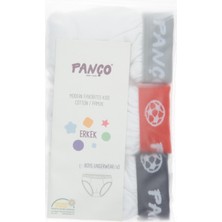 Panço Erkek Çocuk Slip Çamaşır 9935804196