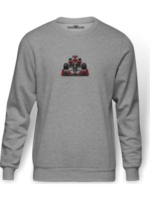 Tshirthane Race Car Clipartf1 Yariş Arabalari F1 Baskılı Gri Erkek Örme Sweatshirt Uzun Kol