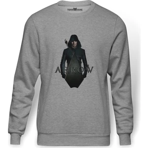 Arrow Amell Summerslam  Baskılı Gri Erkek Örme Sweatshirt Uzun Kol