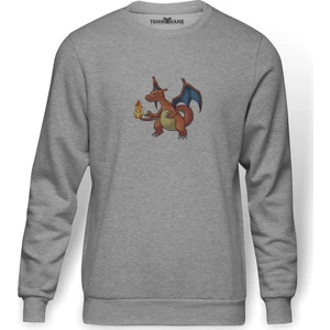 Pokemon Charizard  Baskılı Gri Erkek Örme Sweatshirt Uzun Kol