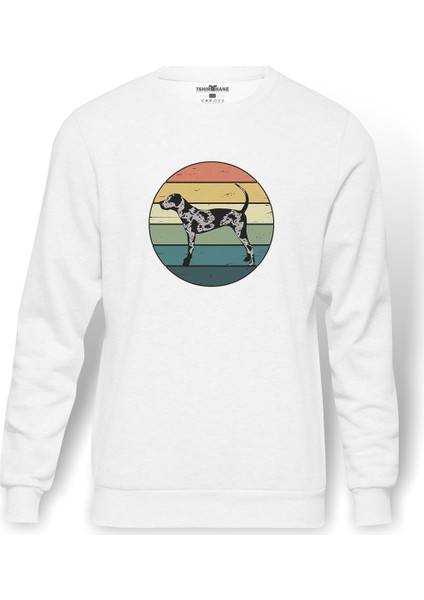 Silhouette Retro Rainbow Catahoula Leopard Dog Baskılı Beyaz Erkek Örme Sweatshirt Uzun Kol
