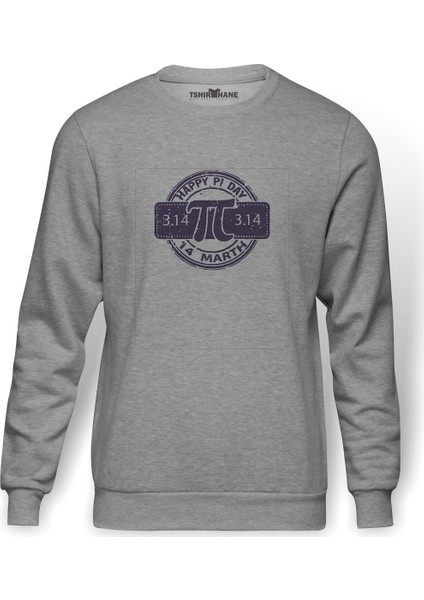 Pi Purble Logo Baskılı Gri Erkek Örme Sweatshirt Uzun Kol
