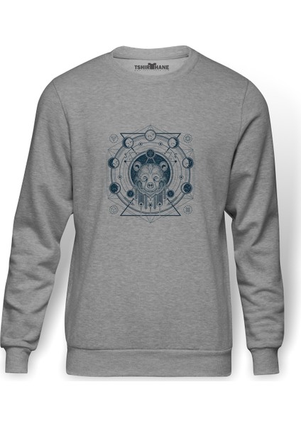 Astronomi Moon Baskılı Gri Erkek Örme Sweatshirt Uzun Kol