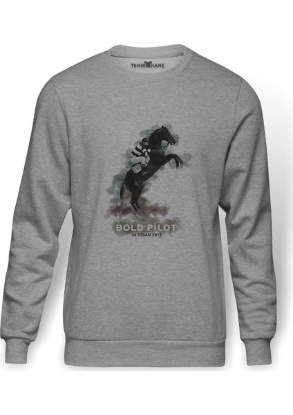 Bold Pilot Baskılı Gri Erkek Örme Sweatshirt Uzun Kol