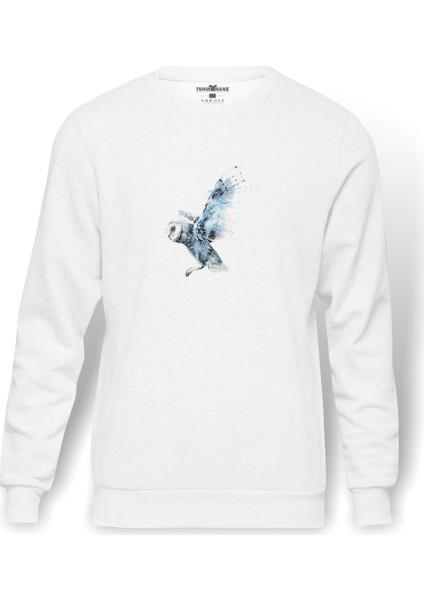 Mavi Ve Beyaz Baykuş Illüstrasyon Baykuş Baskılı Beyaz Erkek Örme Sweatshirt Uzun Kol