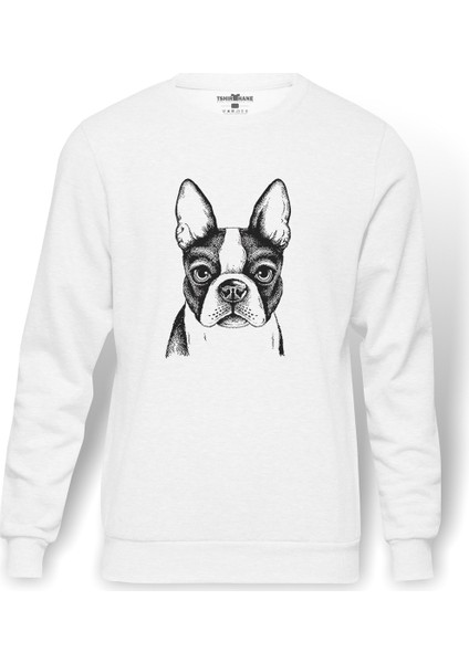 Boston Terrier Fransız Bulldog Köpek Yavrusu Baskılı Beyaz Erkek Örme Sweatshirt Uzun Kol