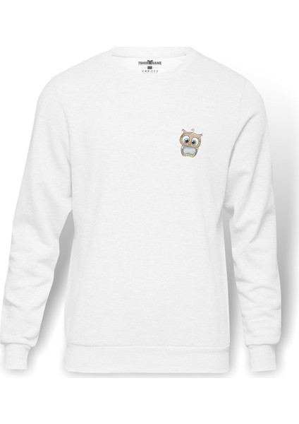 Gri Gömlek Illüstrasyon Kahverengi Baykuş Baykuş Baskılı Beyaz Erkek Örme Sweatshirt Uzun Kol