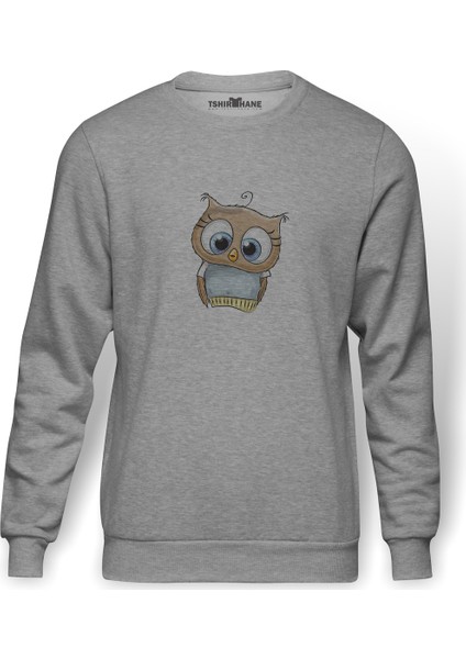 Gri Gömlek Illüstrasyon Kahverengi Baykuş Baykuş Baskılı Gri Erkek Örme Sweatshirt Uzun Kol