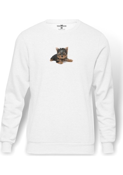 Yorkie Poodle Baskılı Beyaz Erkek Örme Sweatshirt Uzun Kol
