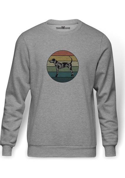 Silhouette Retro Rainbow Catahoula Leopard Dog Baskılı Gri Erkek Örme Sweatshirt Uzun Kol