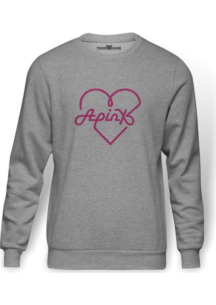 Apinx Logosu K Pop Korece Music Baskılı Gri Erkek Örme Sweatshirt Uzun Kol