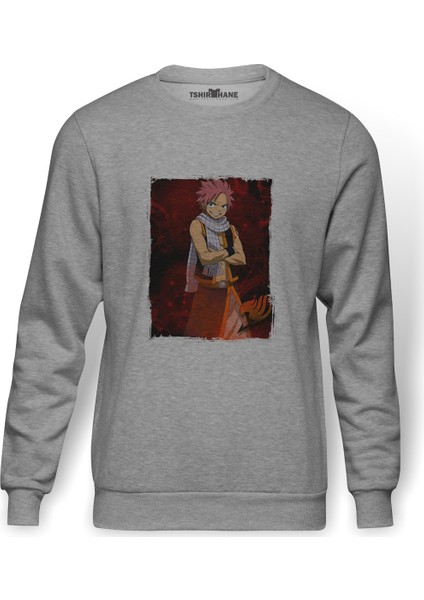 Anime Salamander Fairy Tail Glass Guild Baskılı Gri Erkek Örme Sweatshirt Uzun Kol