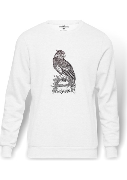 Kafatası Resimde Tıraşlama Gri Kuş Yırtıcı Baskılı Beyaz Erkek Örme Sweatshirt Uzun Kol