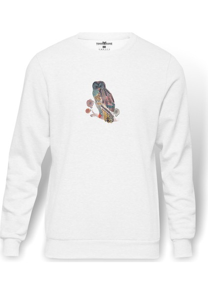 Kahverengi Ve Deniz Mavisi Baykuş Illüstrasyon Baskılı Beyaz Erkek Örme Sweatshirt Uzun Kol