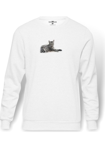 Kedi Cad Baskılı Beyaz Erkek Örme Sweatshirt Uzun Kol