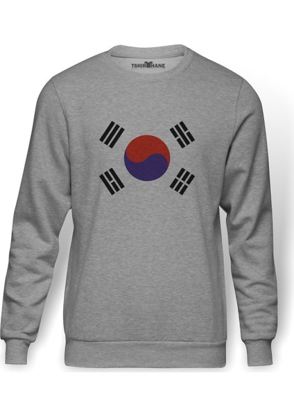 Güney Kore South Korea Baskılı Gri Erkek Örme Sweatshirt Uzun Kol