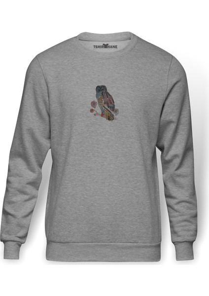 Kahverengi Ve Deniz Mavisi Baykuş Illüstrasyon Baskılı Gri Erkek Örme Sweatshirt Uzun Kol