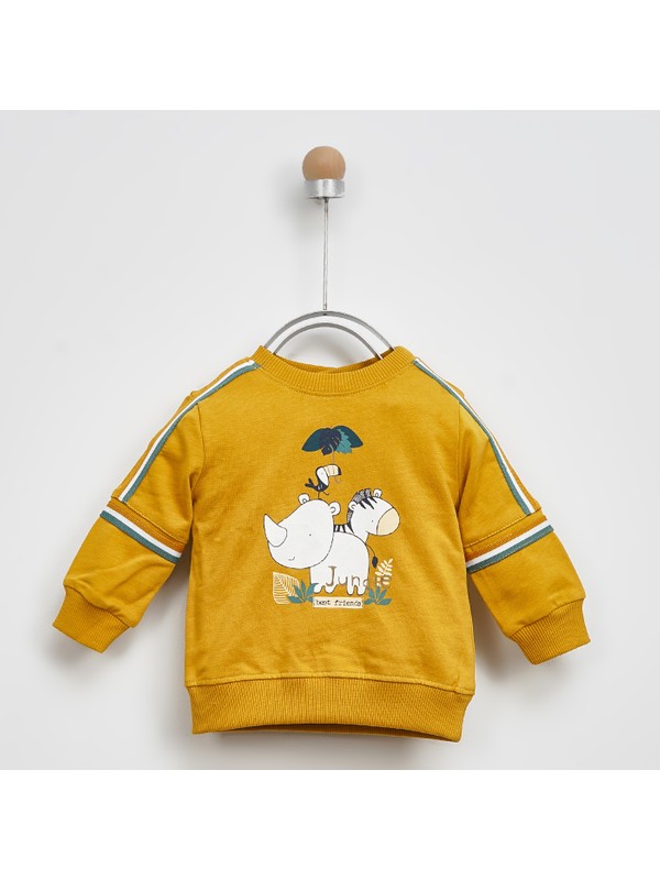 Panco Erkek Bebek Sweatshirt 21bb Fiyati