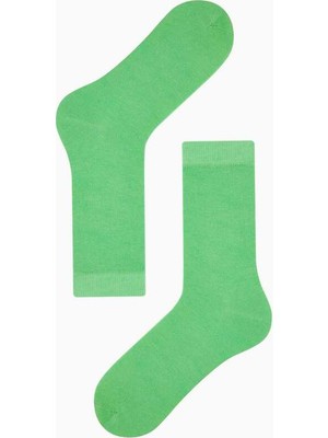 Bross Renkli Kadın Çorabı