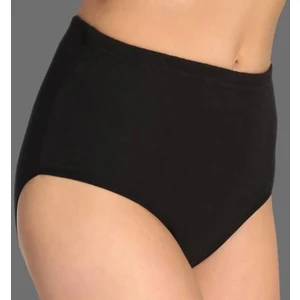 3'lü Paket Büyük Beden Kadın Bato Külot