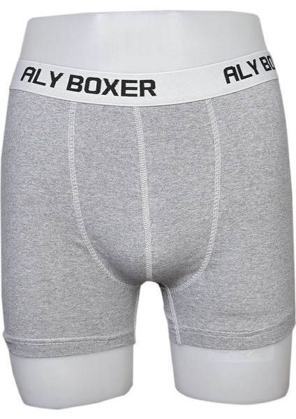 Erkek Gri Likralı Boxer