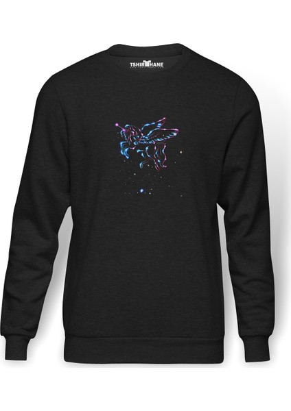 Space Unicorn 2 Baskılı Füme Erkek Örme Sweatshirt Uzun Kol