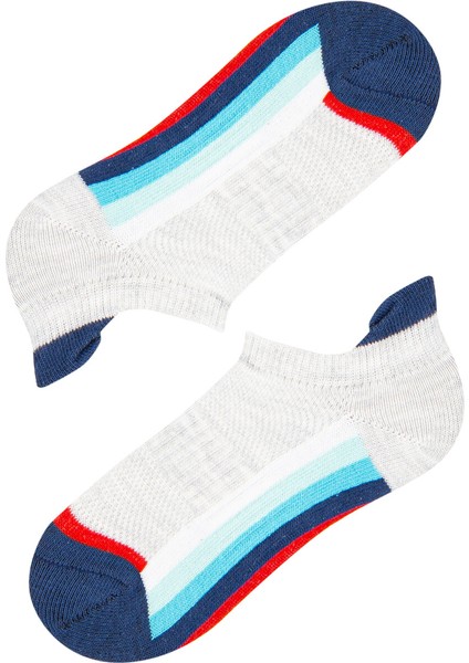 Çok Renkli Erkek Çocuk Colorful Stripe 2'li Patik Çorap