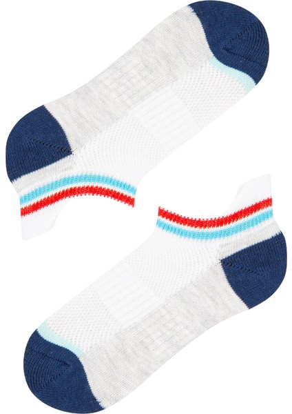 Çok Renkli Erkek Çocuk Colorful Stripe 2'li Patik Çorap