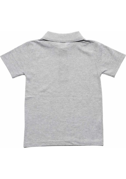 Gri Kısa Kol 6-16 Yaş Çocuk Okul Lakos /T-shirt - 80238-Gri fiyatları