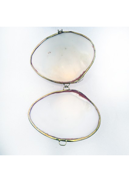 Pearlızed Clam Kabuk Cüzdan