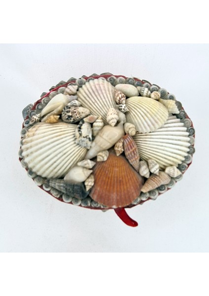 Küçük Oval Kutu