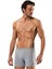Line Boxer 1