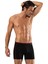 Line Boxer 1