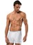 Line Boxer 1