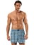 Poplin Boxer 2