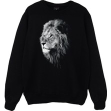 Stonedfame Aslan